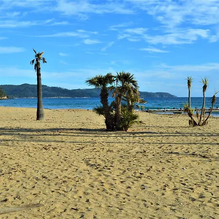 Avec Terrasse, Clim, Parking Prive - - Fr-1-226b-153 Διαμέρισμα Cavalaire-sur-Mer